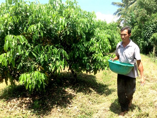 Làm vườn hiệu quả