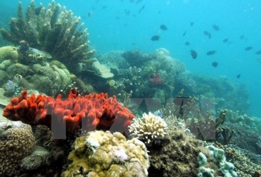 Tối thiểu 50% diện tích vùng biển, hải đảo được điều tra về tài nguyên