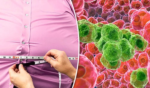 Thừa cân và béo phì tăng 12% nguy cơ mắc nhiều bệnh ung thư