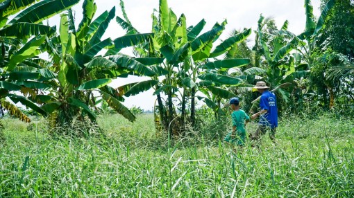 Hai cha con đi săn chuột