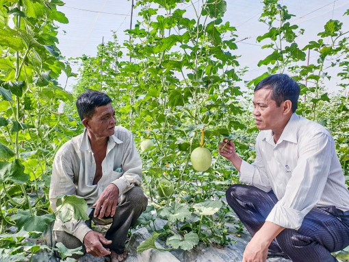 Cung ứng nông sản sạch