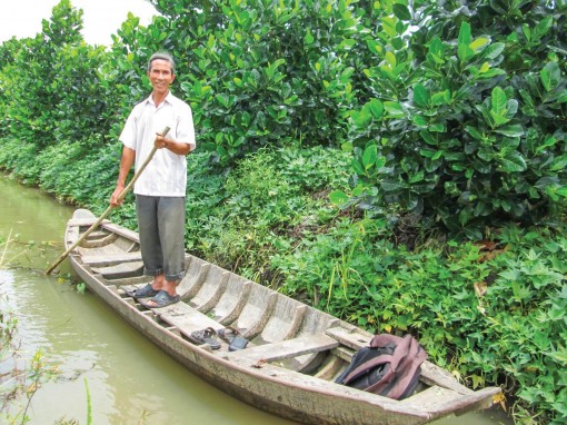 Trồng mít Thái kết hợp nuôi cá cho thu nhập cao