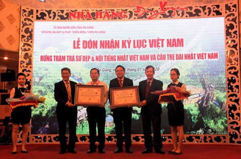 Rừng Tràm Trà Sư đẹp và nổi tiếng nhất Việt Nam - cầu tre dài nhất Việt Nam được chứng nhận xác lập kỷ lục Việt Nam