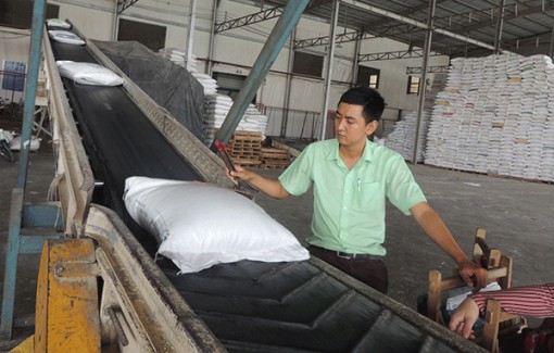 Doanh nghiệp vững tin tham gia vào chuỗi giá trị toàn cầu