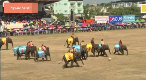 Voi trong đời sống văn hóa ở Thái Lan