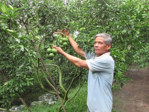 Bảo vệ sản xuất mùa khô hạn