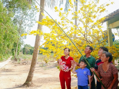 Sắc Xuân đất nước