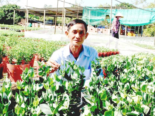 Trồng hoa làm giàu