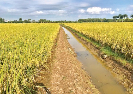 Liên kết bền vững để cùng phát triển