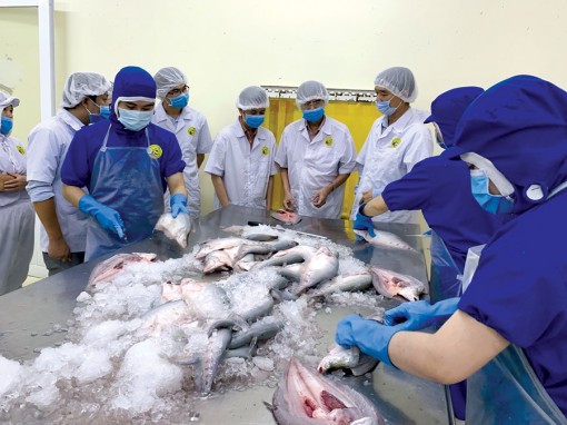 Hội tụ Tây Đô