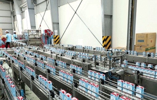 Evergrowth - 15 năm vững bước