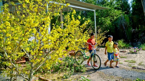 Người miền Tây ăn Tết, chơi Tết tuy bình dị nhưng rất kỹ lưỡng