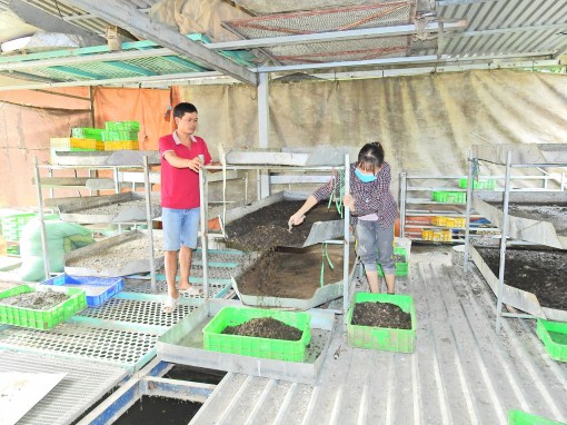 Anh thợ máy mê ruồi lính đen