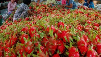 Bộ Công Thương kiến nghị hỗ trợ tiêu thụ nông sản khi xuất khẩu khó khăn bởi nCoV