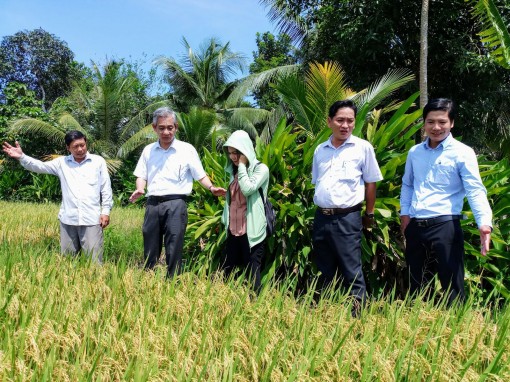 Để chương trình OCOP phát huy hiệu quả