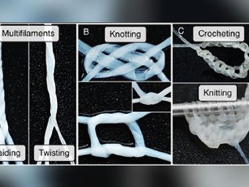 “Chỉ da người” chữa lành vết thương an toàn