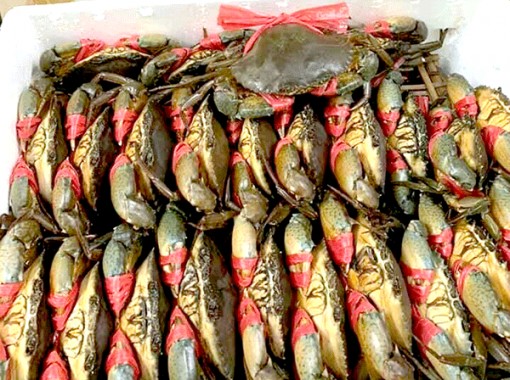 Giá cua biển giảm một nửa vì dịch nCoV