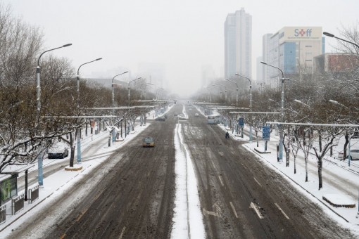 Virus có thể tồn tại ngoài vật chủ tới 9 ngày