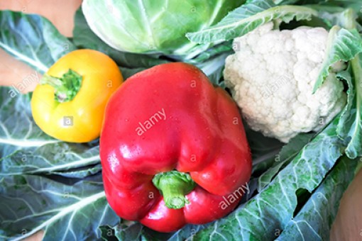 Chọn lựa rau củ bồi bổ cho thận