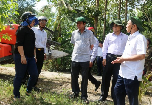 Lãnh đạo TP Cần Thơ kiểm tra phòng chống hạn mặn 
và thu hoạch lúa đông xuân tại huyện Thới Lai