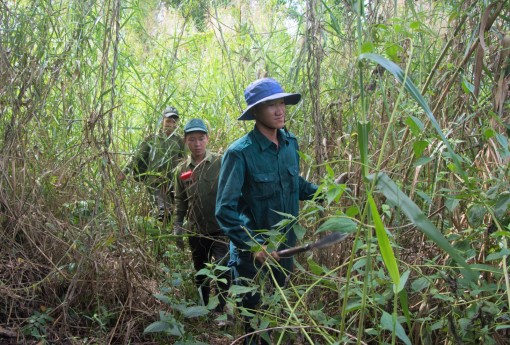 Cà Mau: Toàn lâm phần 42.000ha có nguy cơ cháy cao