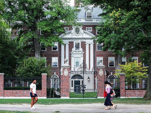 Đến lượt Harvard và Yale bị “sờ gáy”