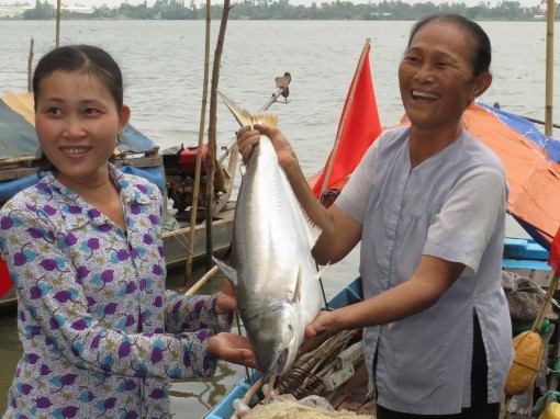 Mùa cá bông lau 
ở cù lao Tân Lộc