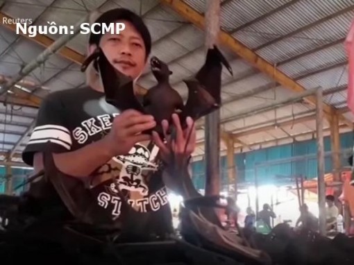 Thịt dơi vẫn đắt khách ở Indonesia, bất chấp nguy cơ virus Corona