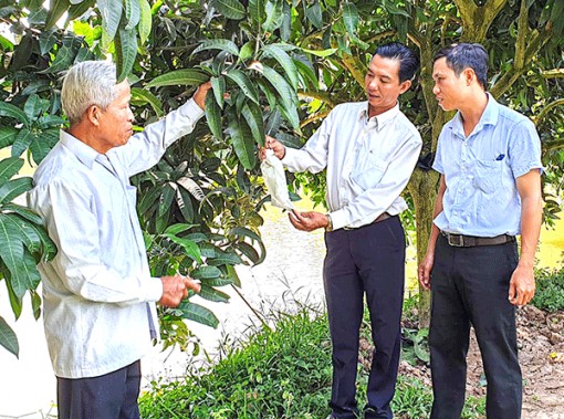 Chủ động làm giàu