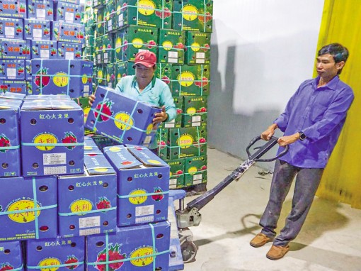 Góc nhìn từ giá rẻ