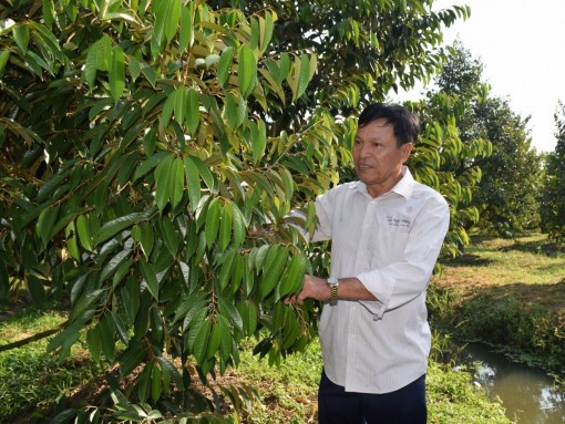 Giải pháp thích ứng biến đổi khí hậu 
cho cây trồng và vật nuôi vùng ĐBSCL