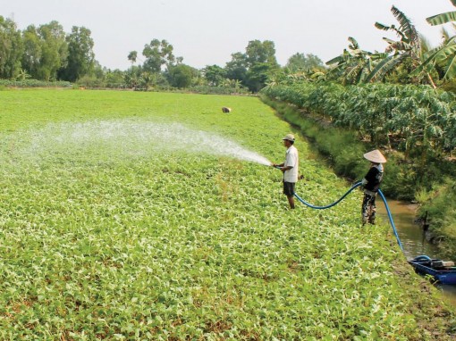 Linh động trong 
sản xuất, tránh hạn mặn