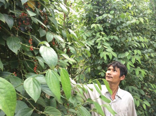 Đồng hành cùng thanh niên lập thân, lập nghiệp