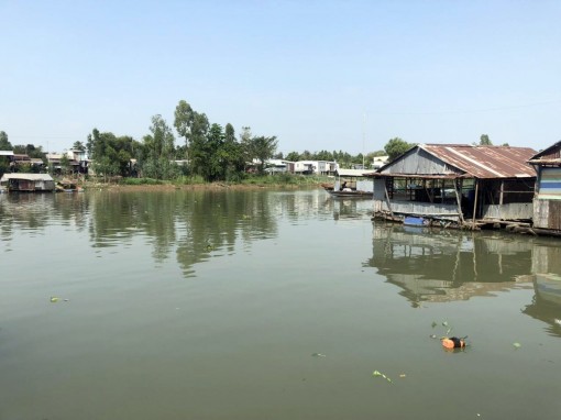 An Giang: Khẩn trương di dời các bè nuôi cá trên khu vực sông Cái Vừng