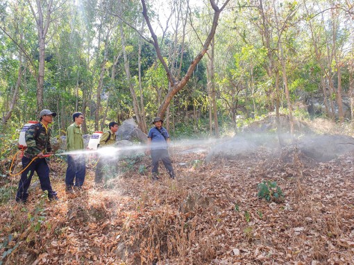 Báo động đỏ tại những cánh rừng ĐBSCL