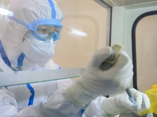 Vaccine phòng bệnh đạt thành công

bước đầu trong quá trình thử nghiệm