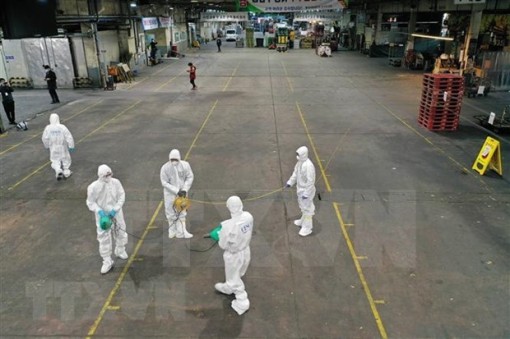 Ministry ready to protect Vietnamese in RoK amid COVID-19 fears