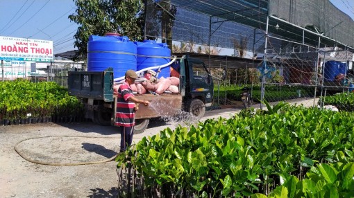 Hạn mặn khốc liệt, nước ngọt 100.000-150.000 đồng/m3