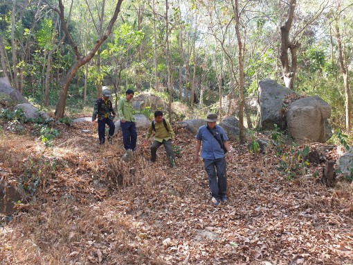 Căng sức giữ rừng Bảy Núi