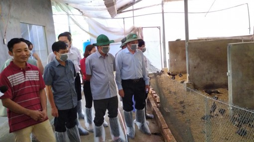 Lãnh đạo thành phố kiểm tra công tác phòng chống hạn hán, dịch cúm gia cầm  tại huyện Cờ Đỏ và Vĩnh Thạnh