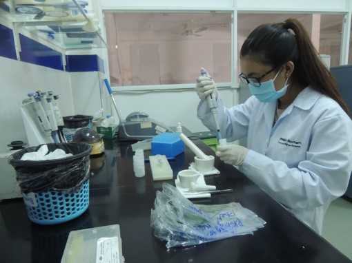 Hợp lực tạo nên “tế bào” doanh nghiệp khỏe mạnh