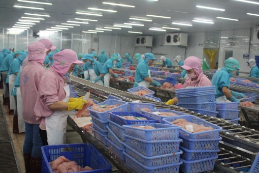 Thúc đẩy quan hệ tương hỗ Việt Nam - EU