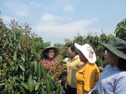 Bắt đầu từ sản xuất sạch