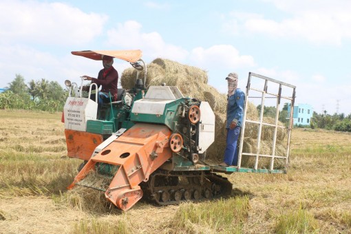 Nông dân thu gom rơm bằng máy cuốn rơm đa năng