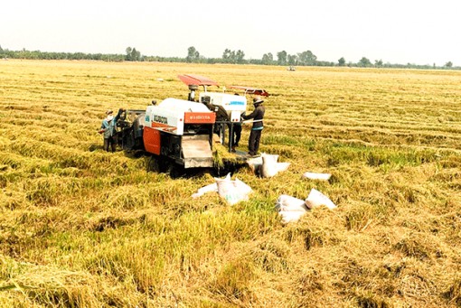 Phân loại, đánh giá thúc đẩy hợp tác xã phát triển cả về quy mô và chất lượng