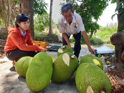 Giúp nông dân làm giàu