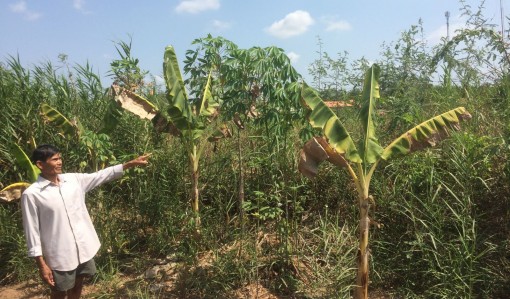 Thắc thỏm chờ nền tái định cư