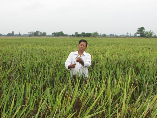 Bước tiến mới của Tổ hợp tác My Hậu