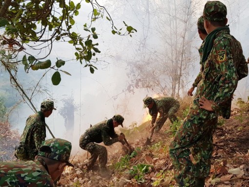 An Giang: Cháy 6ha rừng ở khu vực Núi Cấm