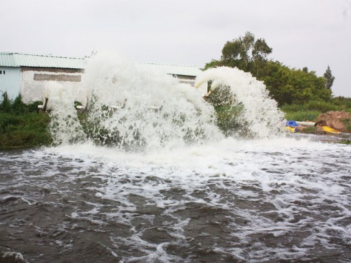 Kiên Giang cảnh báo nguy cơ cháy rừng cấp cực kỳ nguy hiểm